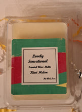 Load image into Gallery viewer, Kiwi Melon Wax Melts
